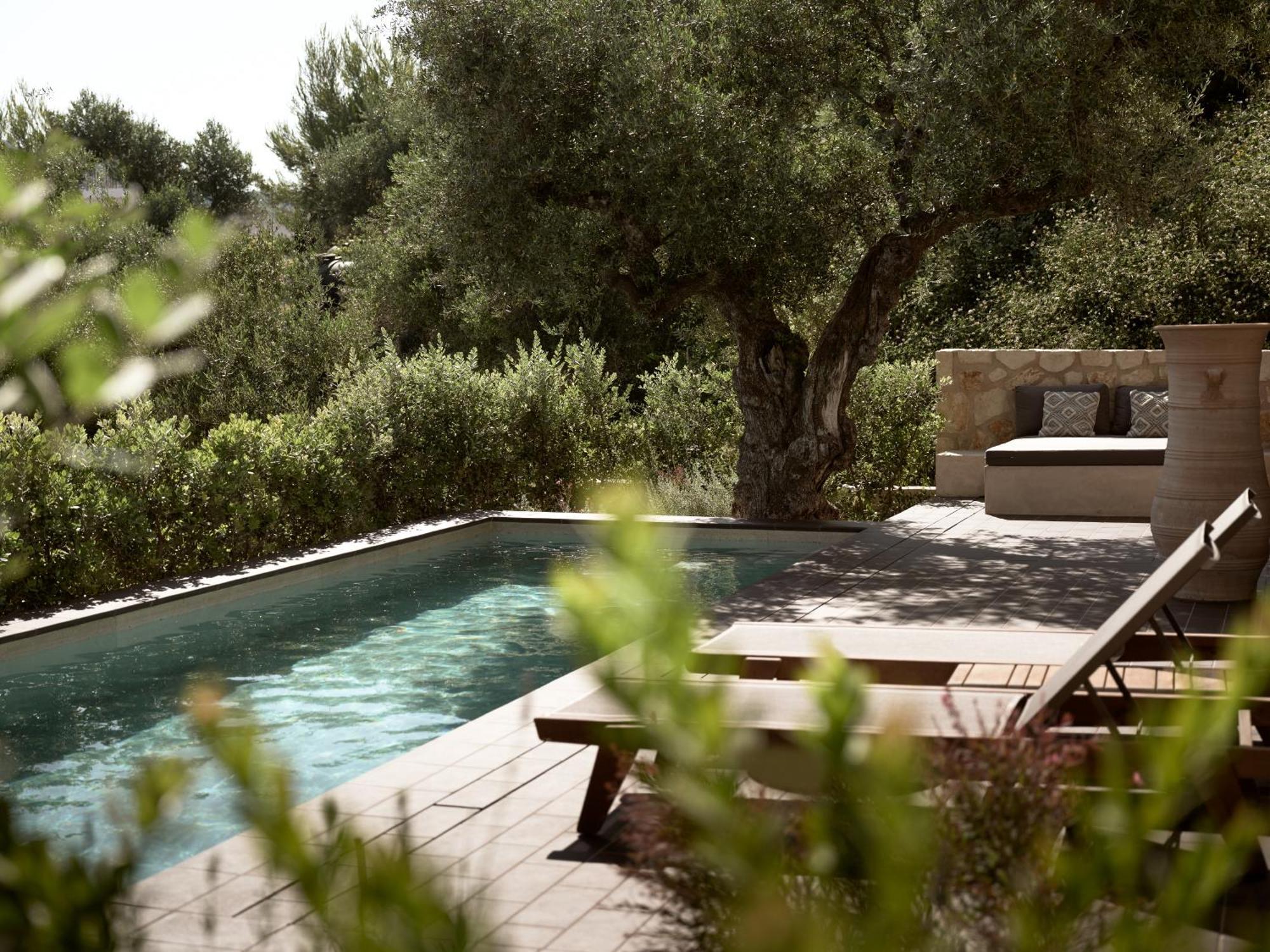 Villa Zayn Luxury Villas, A Serene Escape, By Thinkvilla