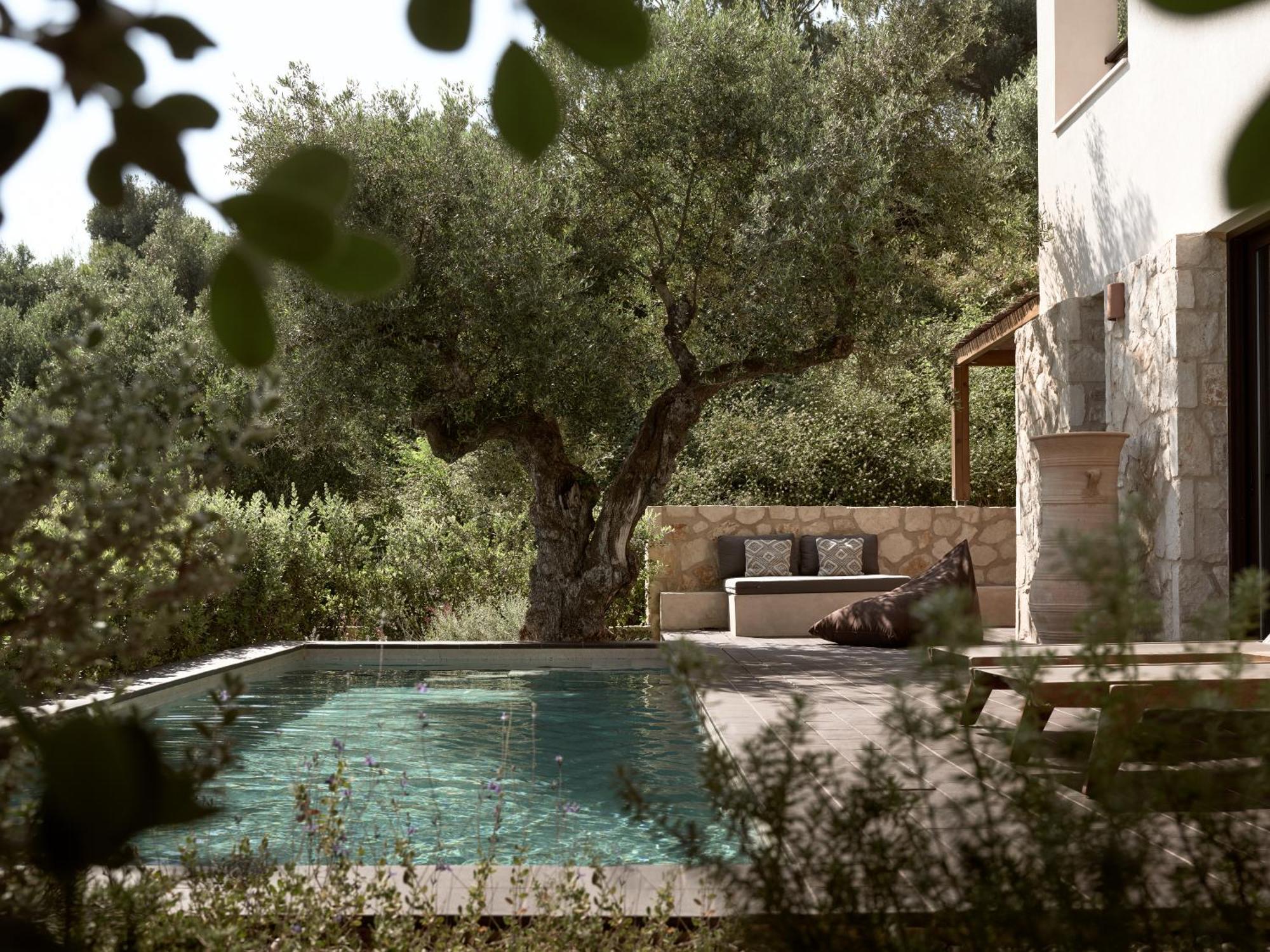 Zayn Luxury Villas, A Serene Escape, By Thinkvilla *