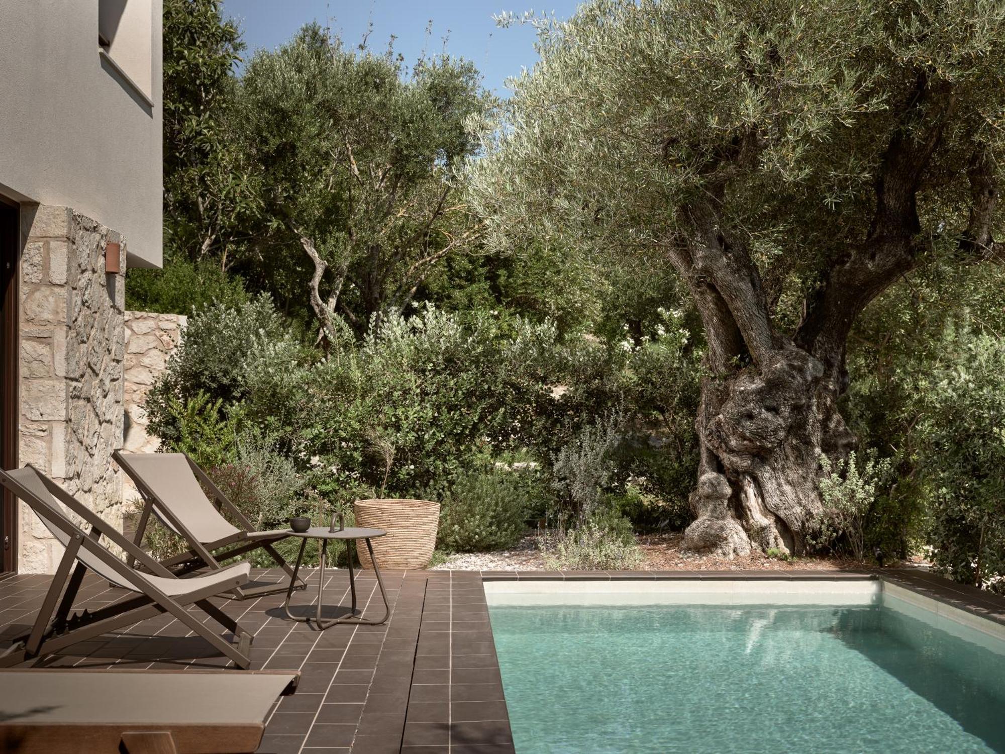 Villa Zayn Luxury Villas, A Serene Escape, By Thinkvilla *